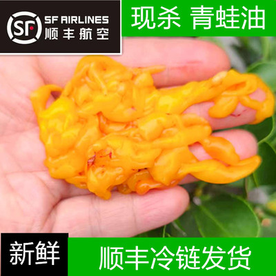 (顺丰空运)新鲜现杀青蛙油克马油稻田养殖青蛙油青蛙皮青蛙油