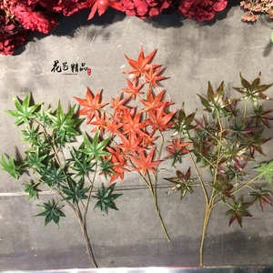 仿真红枫叶红色枫树黄色叶绿枫叶鸡爪风元宝枫美国枫树叶香山红叶