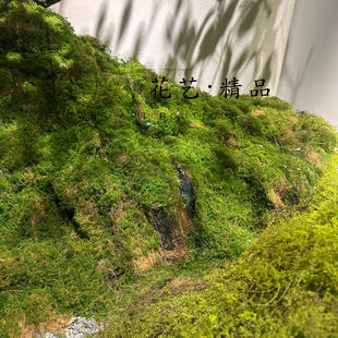 定制枯苔藓仿真青苔毛石头花艺微景观山丘景观枯草地拍摄道具多肉