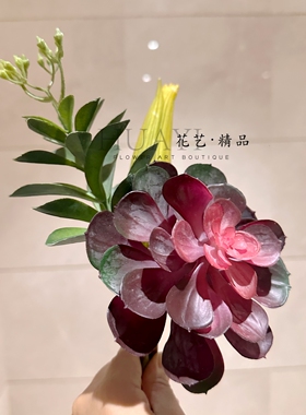 仿真多肉植物花束装饰摆件桌面花艺假花爬虫缸造景宝石莲兔耳叶