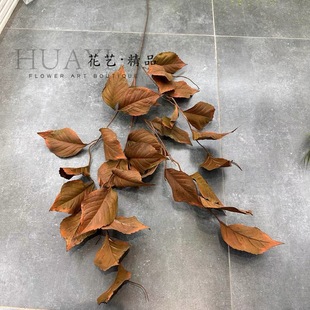 枯树叶桉树枝枯山水造景摄影道具插花素材仿真花假花大型植物