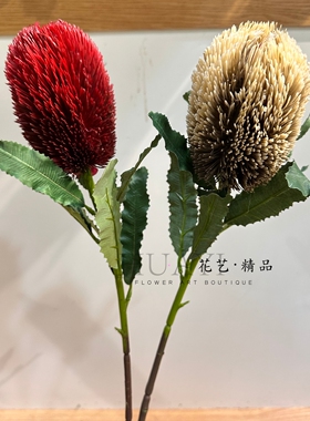 南非公主花帝王花仿真花室内造景客厅摆件澳洲蓟花装饰花