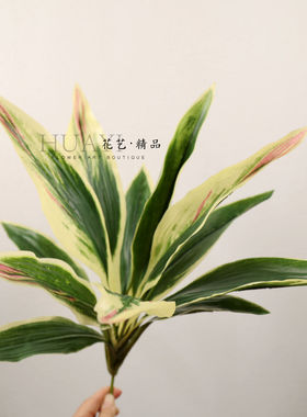 仿真绿叶植物装饰摆件花箱造景彩叶植株巴西木叶剑麻铁树叶多肉