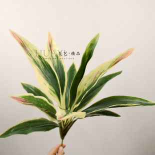 仿真绿叶植物装饰摆件花箱造景彩叶植株巴西木叶剑麻铁树叶多肉