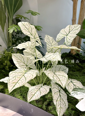 花艺精品仿真材芋叶热带植物