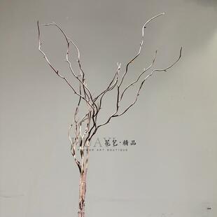 枯树枝条仿真树枝龙牙枝龙柳龙枣树枝龙须家居装饰