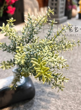仿真尤加利叶装饰花艺摆件拍摄道具绿草假花五十草天门冬九里香
