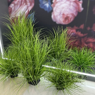 花艺精品 成品仿真草团草垛绿草原造景灌木丛线条型绿植橱窗装饰