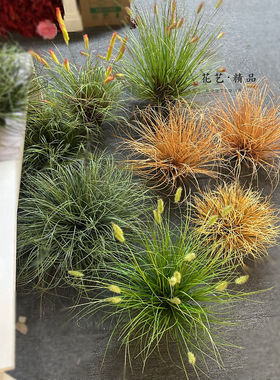 仿真狗尾草草丛草堆草菖蒲装饰家居摆件客厅园林景观花艺草地