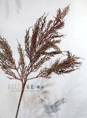 仿真松柏树枝条美陈道具复古灰红色诺贝松枝侧柏圣诞树花材