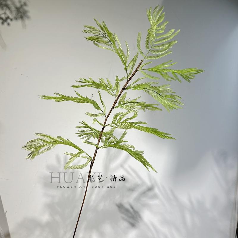 仿真绿植物热带雨林波士蕨
