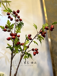 山楂果仿真山楂树枝浆果野果发财果红豆高品质花艺素材插花