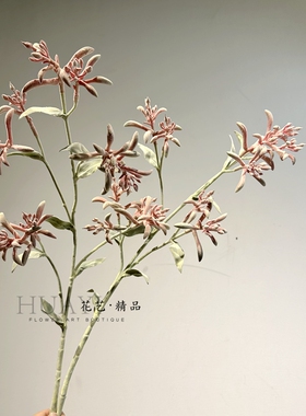 花艺精品仿真花袋鼠爪单只
