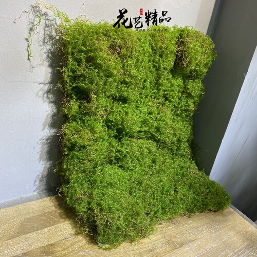 diy装饰品花盆假山造景永生苔藓