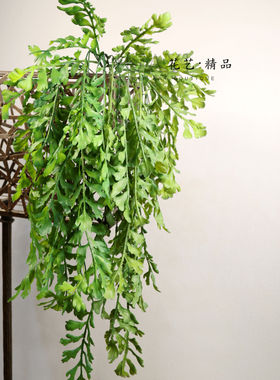 悬挂植物鱼尾葵蕨波斯草肾蕨狼尾蕨仿真绿植吊兰挂件植物墙