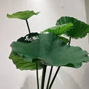 美陈道具花海 软胶高品质仿真大荷叶莲花荷花莲蓬花艺拍摄造景软装