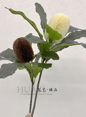 手感保湿带叶南非大班克木仿真公主花帝王花花艺道具装饰布置