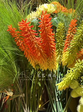 花艺精品仿真花芦荟花