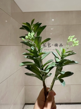 仿真多肉植物造景摆件绿植兰花轻奢风摆设花艺