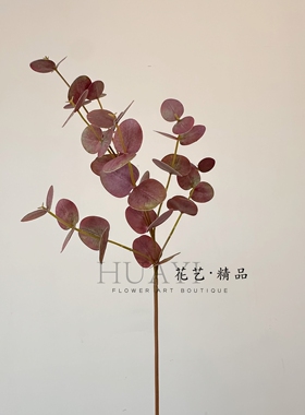 红叶金钱叶仿真尤加利叶北欧风家居装饰摆件插花素材