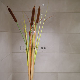 仿真芦苇干花假花枯草水草水蜡烛蒲草蒲棒景观造景橱窗道具装饰