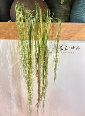 悬挂植物墙面装饰仿真绿植仿丝苇钢草水草芦苇侘寂风老人须空气草