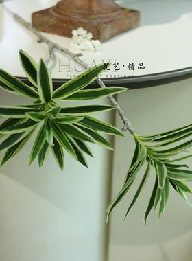 金边百合竹斑节竹仿真植物绿植树枝线条型花艺素材造型优美古树头