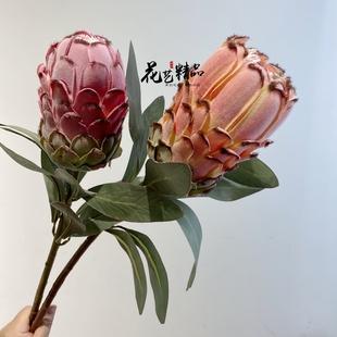 南非帝王花公主花仿真花装饰艺术插花花艺精致橱窗造景热带植物