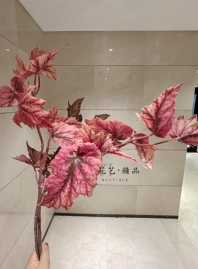 粉芋叶大彩叶枝条仿真热带植物春雨叶海棠番薯叶插花素材绿植