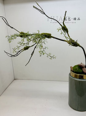小清新仿真植物枝条枯枝青苔树枝绿色花艺装饰桌面造景树藤枯藤