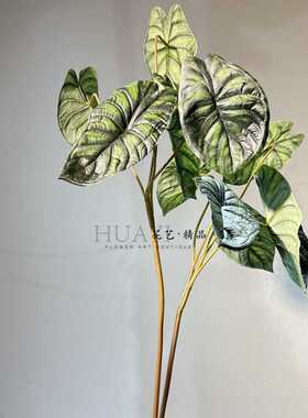 仿真植物 暗黑色系麒麟叶彩叶芋单枝叶材肌理感室内装饰 摄影道具