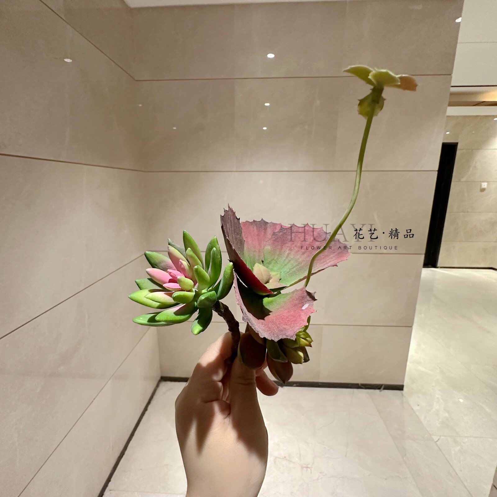 红色宝莲花仿真芦荟佛手花仿真多肉植物微景观枯山水造景爬宠缸