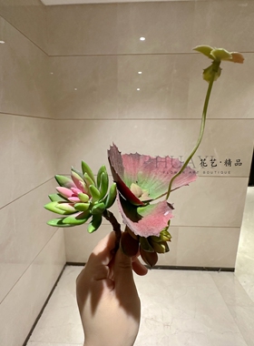 红色宝莲花仿真芦荟佛手花仿真多肉植物微景观枯山水造景爬宠缸