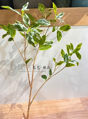 仿真绿植枝条室内装饰摆件桌面植物手感假花艺马醉木吊钟舌雀叶