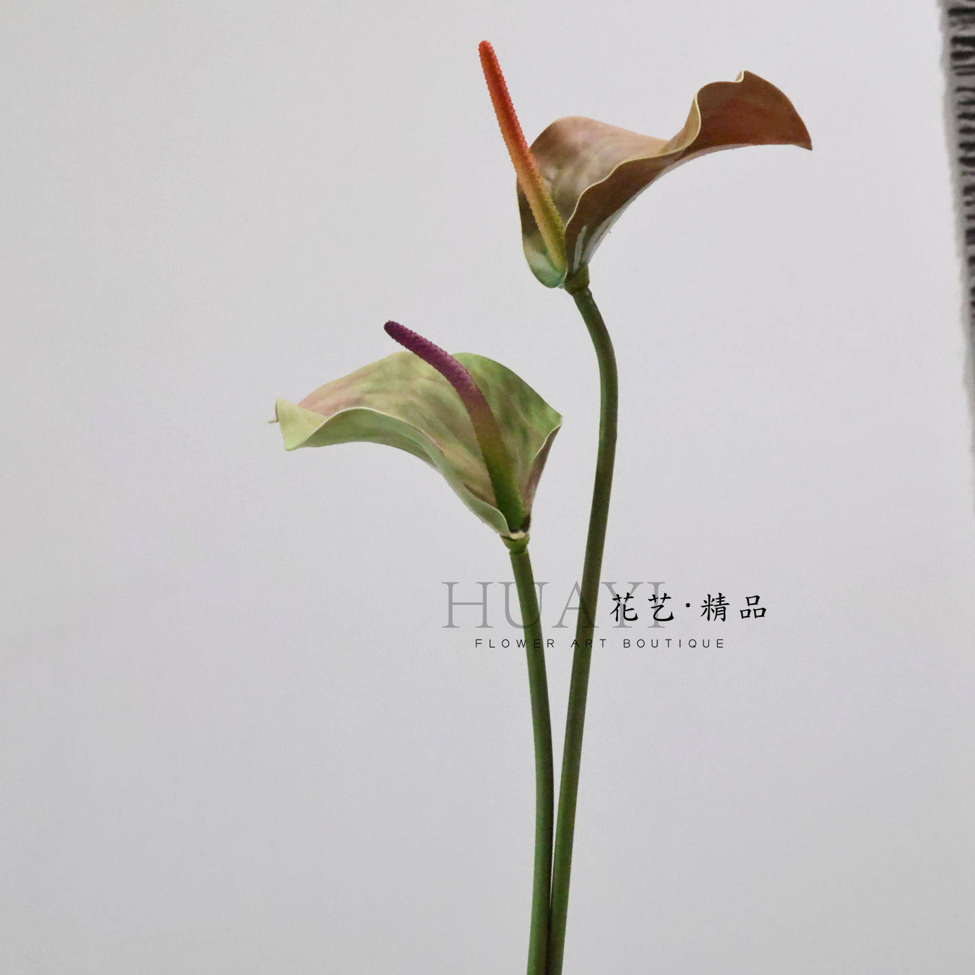 仿真火鹤花单支绿色飘逸线条型花艺素材绿掌室内装饰摆件拍摄道具