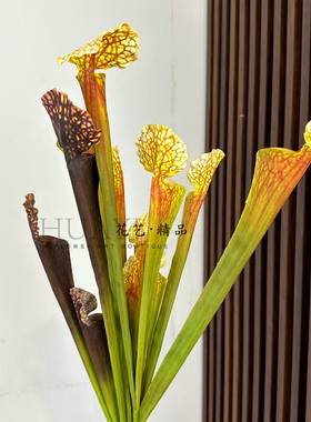仿真花瓶子草手感高颜值异形花材