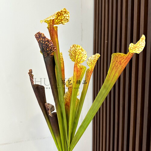 仿真花瓶子草手感高颜值异形花材