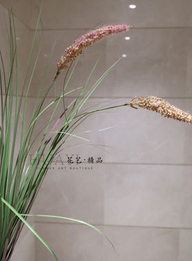 粉色狗尾草仿真草丛草堆菖蒲草枯草渐变色水槽植株造景装饰芦苇