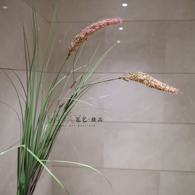 粉色狗尾草仿真草丛草堆菖蒲草枯草渐变色水槽植株造景装饰芦苇
