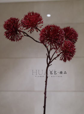 红色蒲公英球仿真毛球洋葱球红色花艺素材装饰插花配材唯美球形