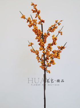 红色仿真冬青果枝条北美冬青红米果野果浆果发财果新年装饰摆件