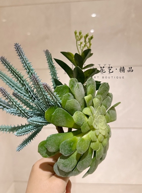 仿真小芦荟仙人掌宝石莲兔耳草绿植装饰植物花卉创意礼物