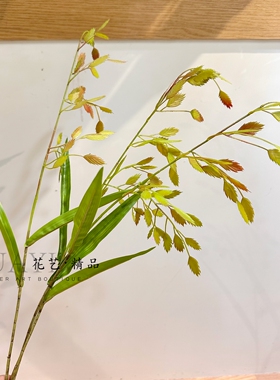 仿真绿叶枝条家居装饰插花假花现代简约摆件小盼草轻盈飘逸素材
