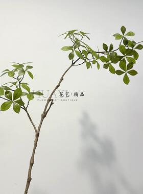 仿真花绿色栀子叶树叶树