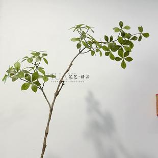 仿真叶子立体质感假花盆栽栀子花叶海桐花叶子马醉木日式简约