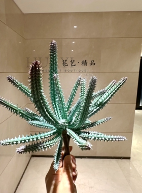 微景观小植物灰绿色仿真绿植仙人掌爬宠缸造景园林景观草插花素材