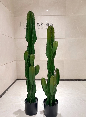 墨西哥仙人柱仿真仙人掌仙人球沙漠植物多肉造景橱窗摆件