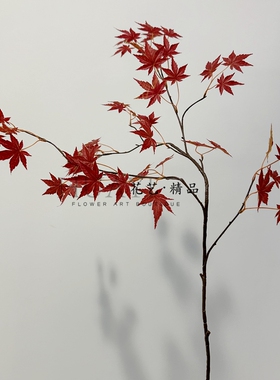 枫叶仿真鸡爪槭红枫叶绿叶