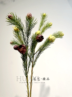 小众天竺松花艺插花素材松针花仿真松树枝家居造景陈列美陈