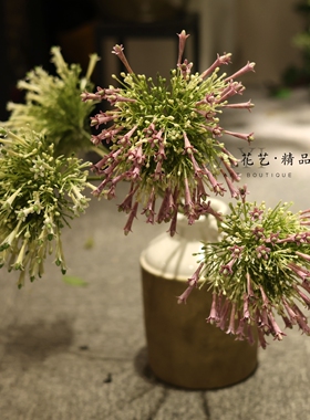 森系大花丁香蕾丝花仿真花蒲公英家居装饰摆件北欧简约风格假花